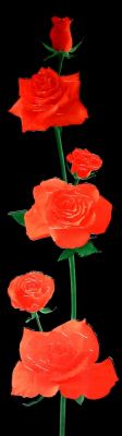 Панно настеное Черная роза AFS30600012, Изображение №1