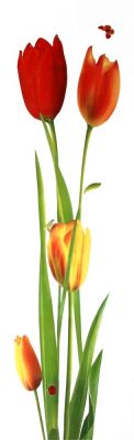 Панно настеное Тюльпан AFS3060005-1, Изображение №1
